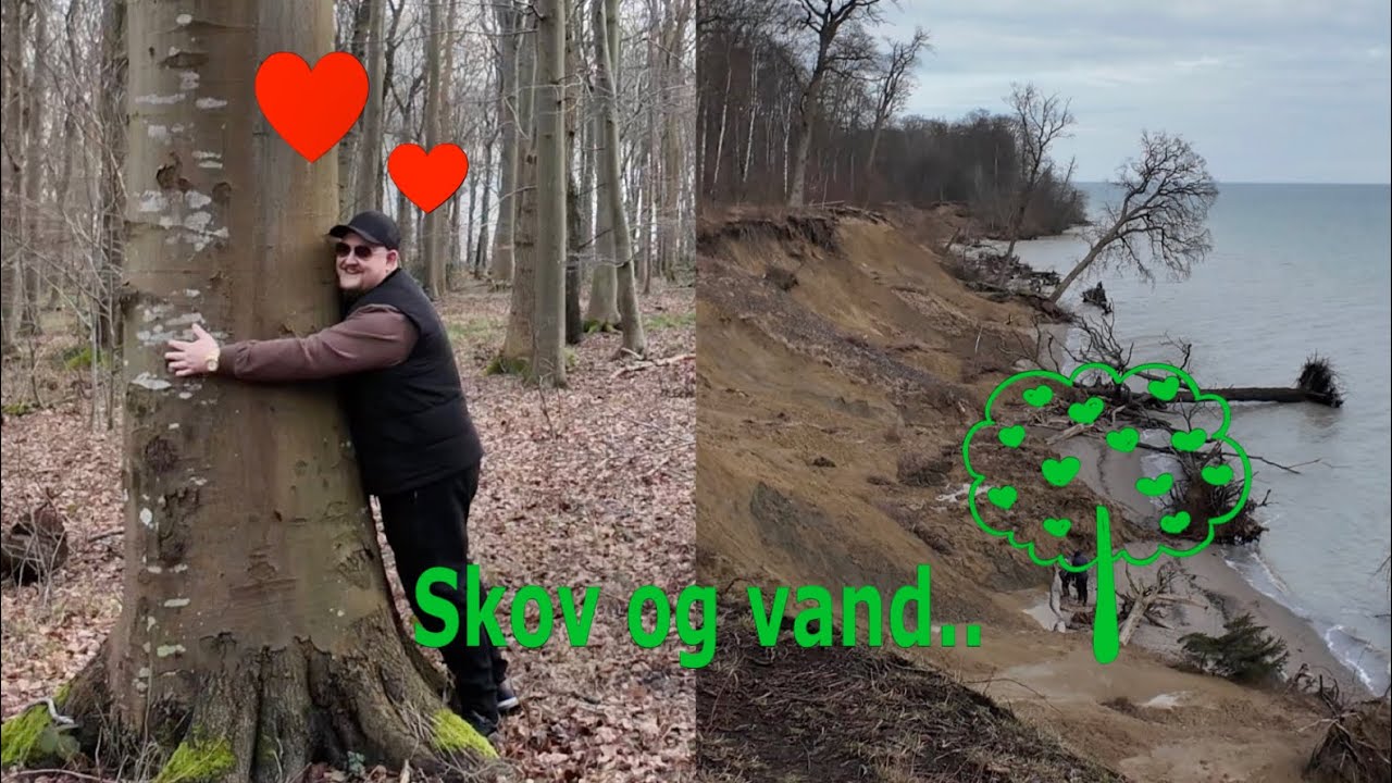 Dejlig tur til Trelde N&aelig;s 🌳🌊