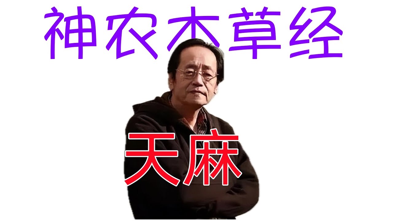 倪海廈《神農本草經》細分版： 046赤箭、天麻