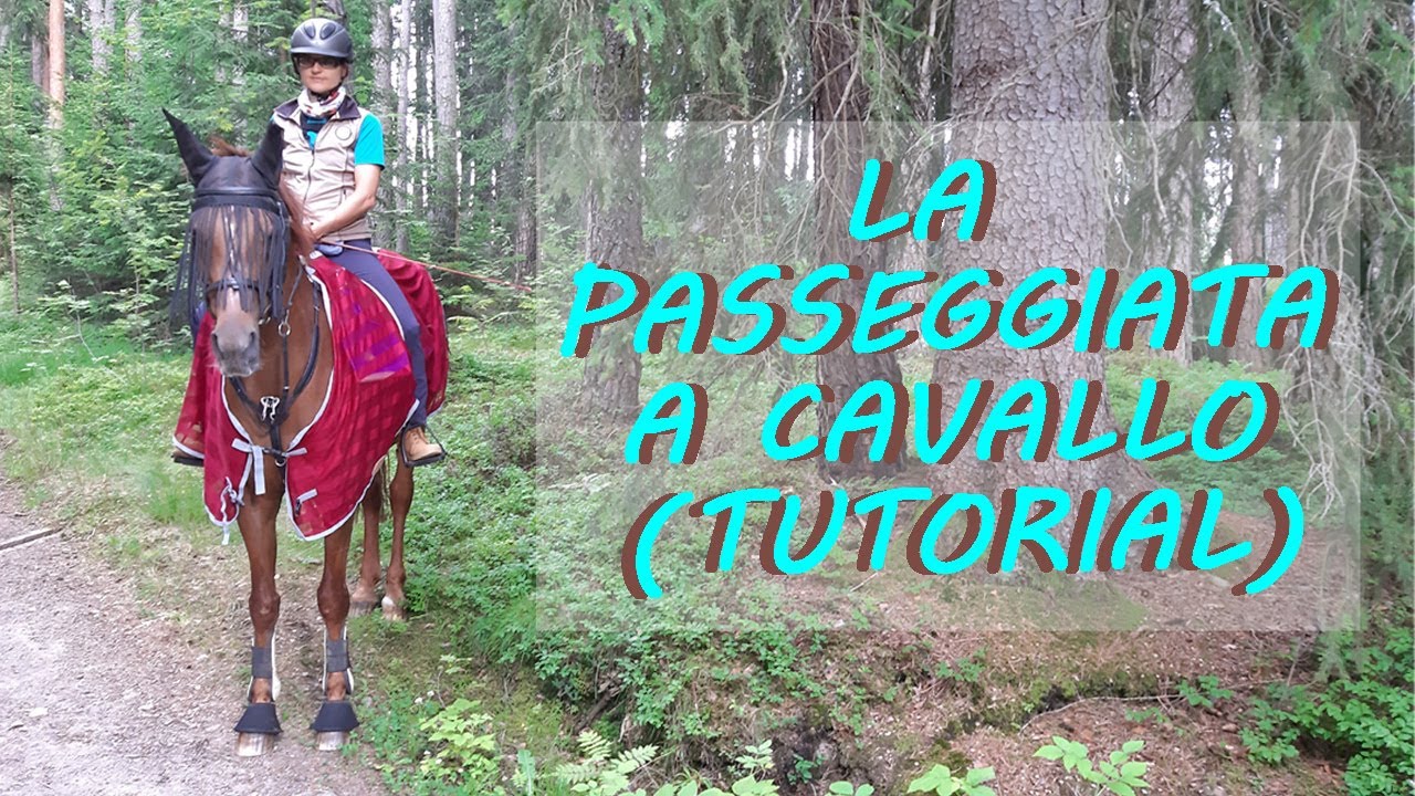 La passeggiata a cavallo (tutorial e consigli)