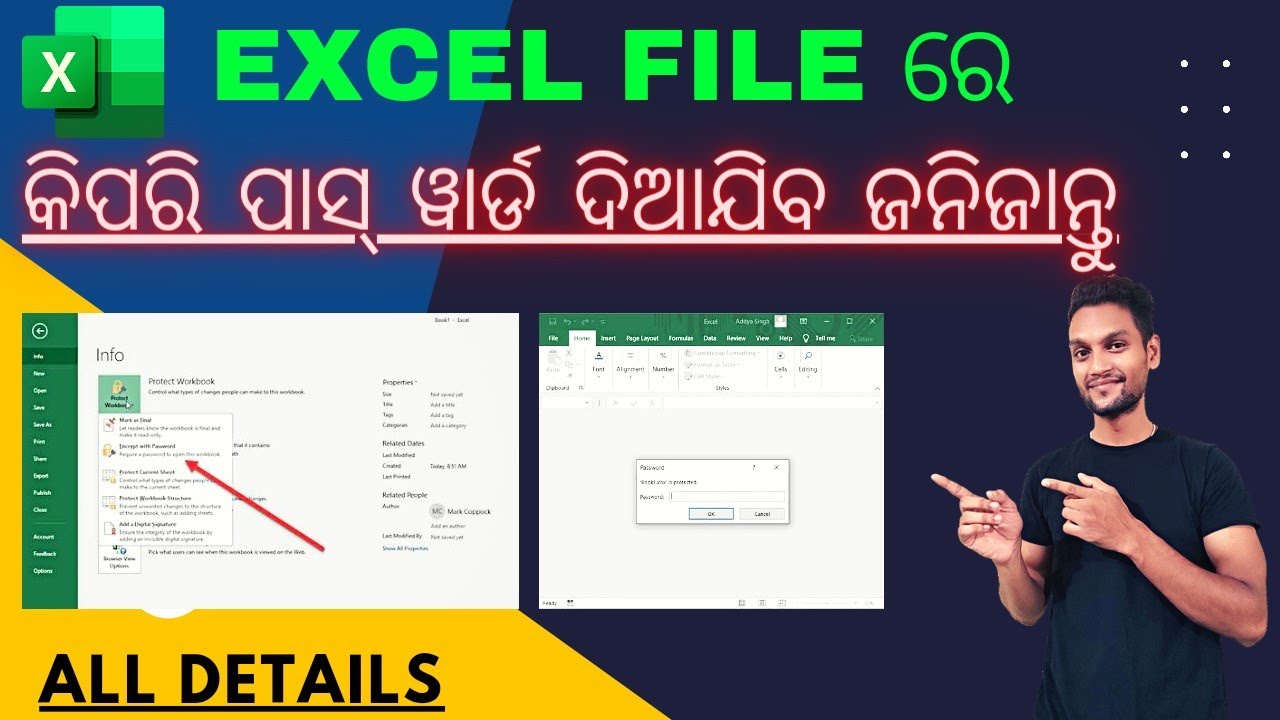 Excel Workbook Password Protection Tutorial in Odia | How to Protect Ms Excel File