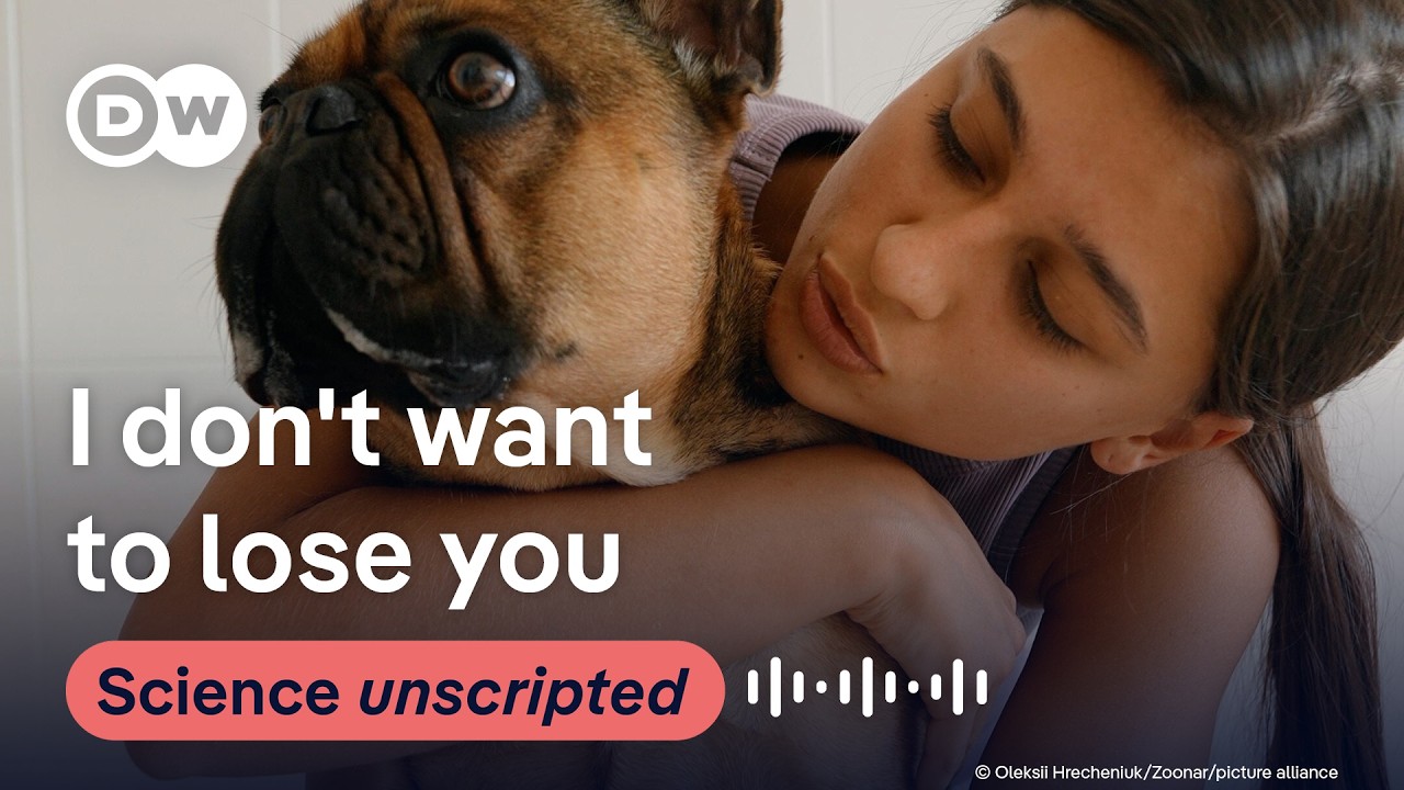 Pet grief, exercise to stop panic attacks, and humor as a political weapon | Science Unscripted