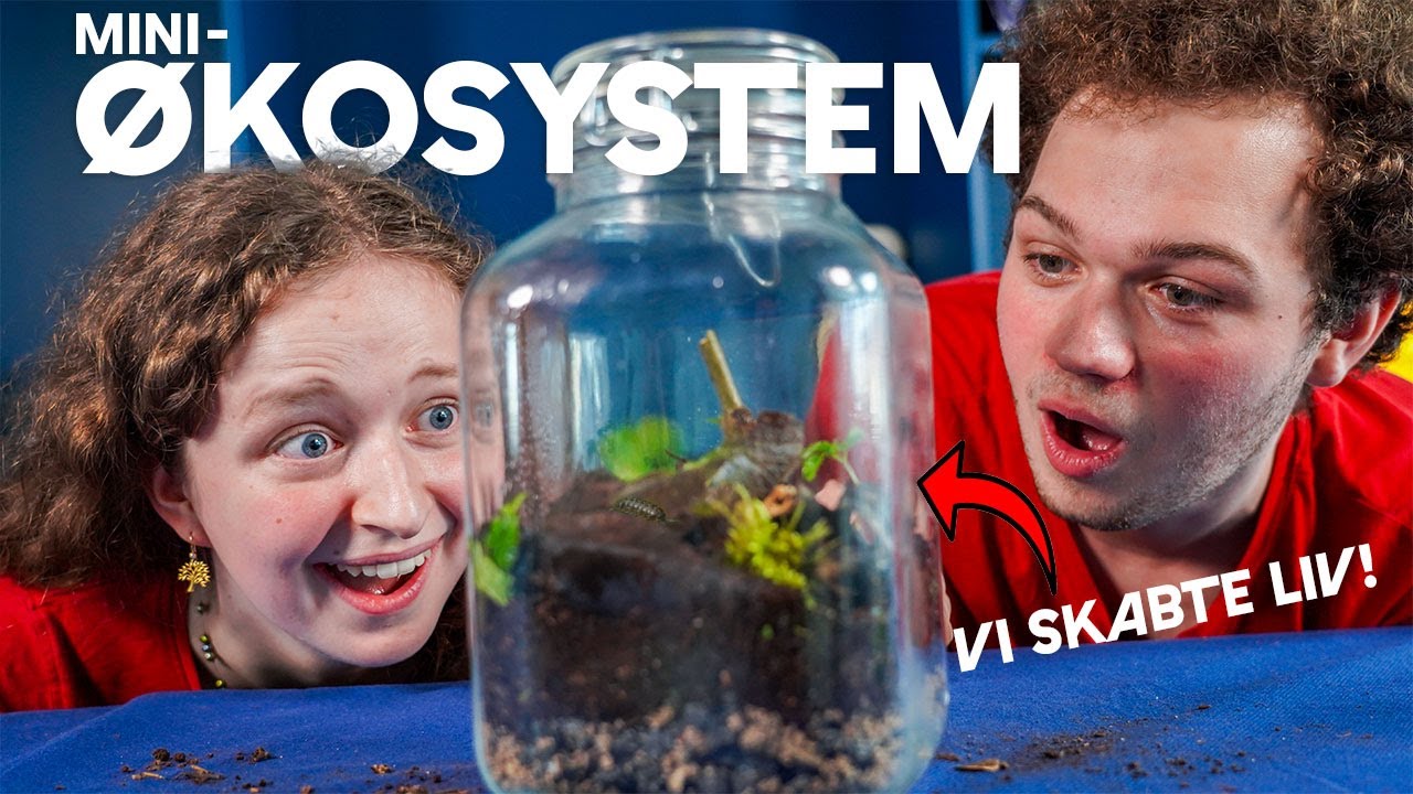 Byg dit eget ØKOSYSTEM (på under 10 minutter!)