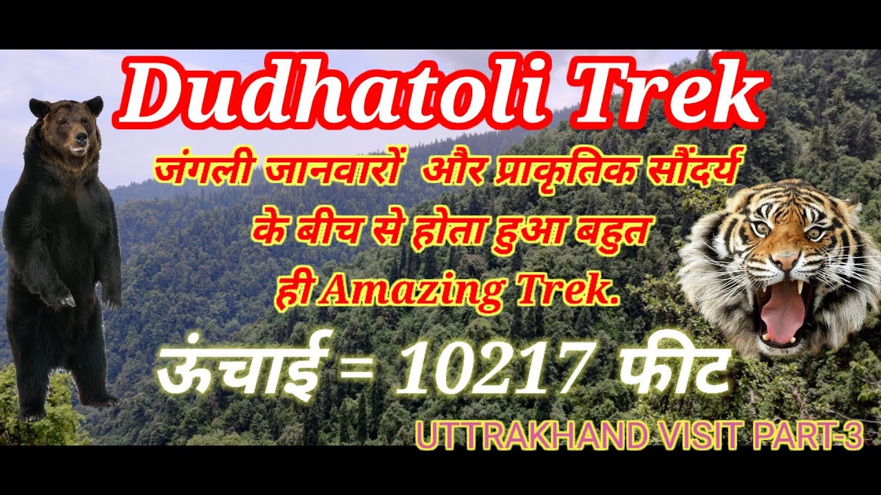 Dudhatoli Trek. Amazing trek in Uttrakhand near Gairsain. Total trek length 5 km. Peak height 3114 M