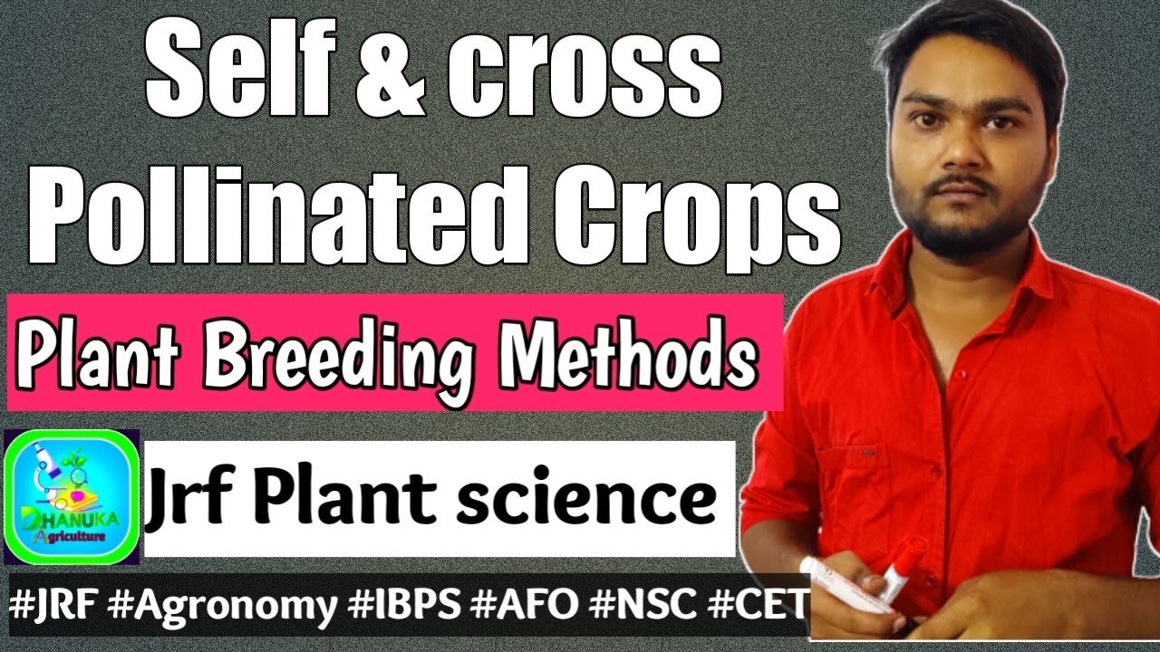 Plant Breeding method for self pollinated crops |selection |progeny test |pureline selection|