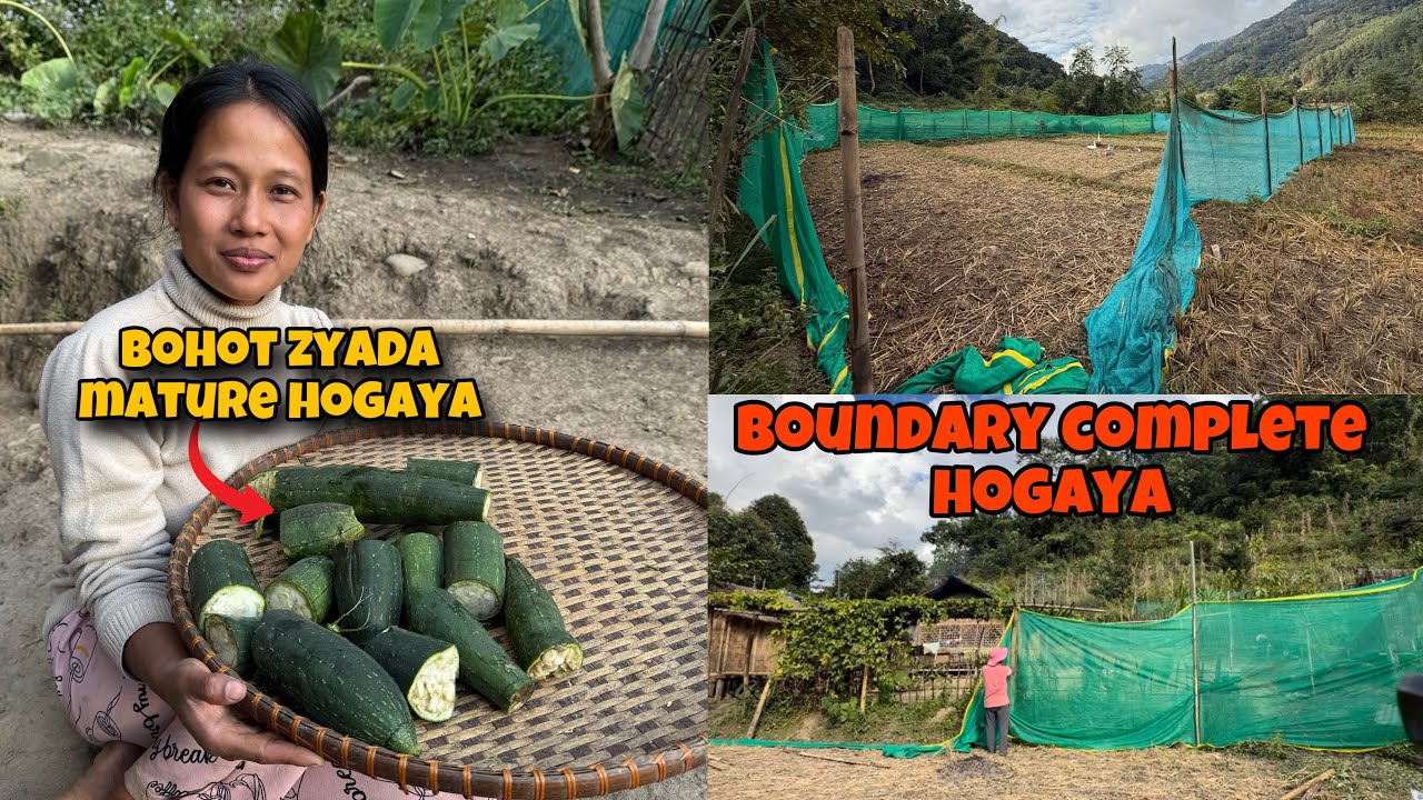 Boundary Complete Hogaya Hai || Village Life 