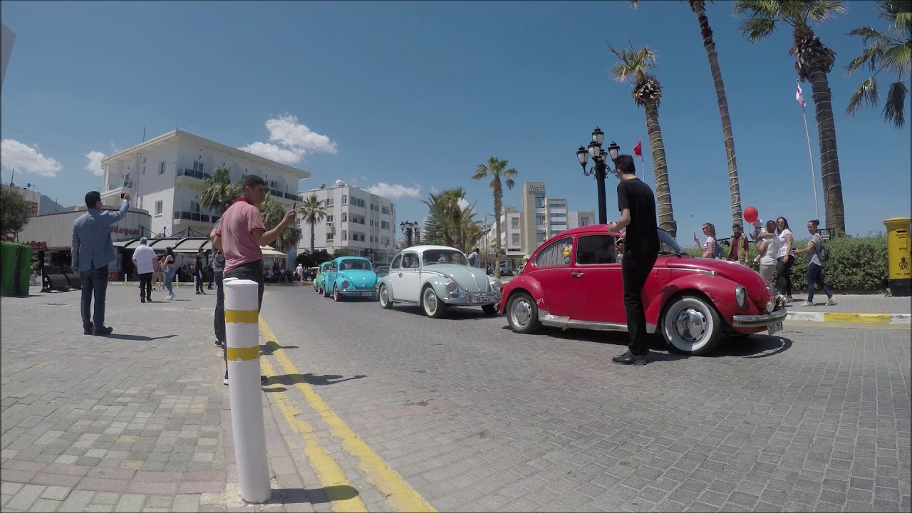 CYPRUS BEETLE LOVERS
