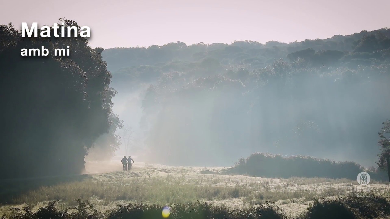 Soc el Parc del Montnegre i el Corredor - llarg