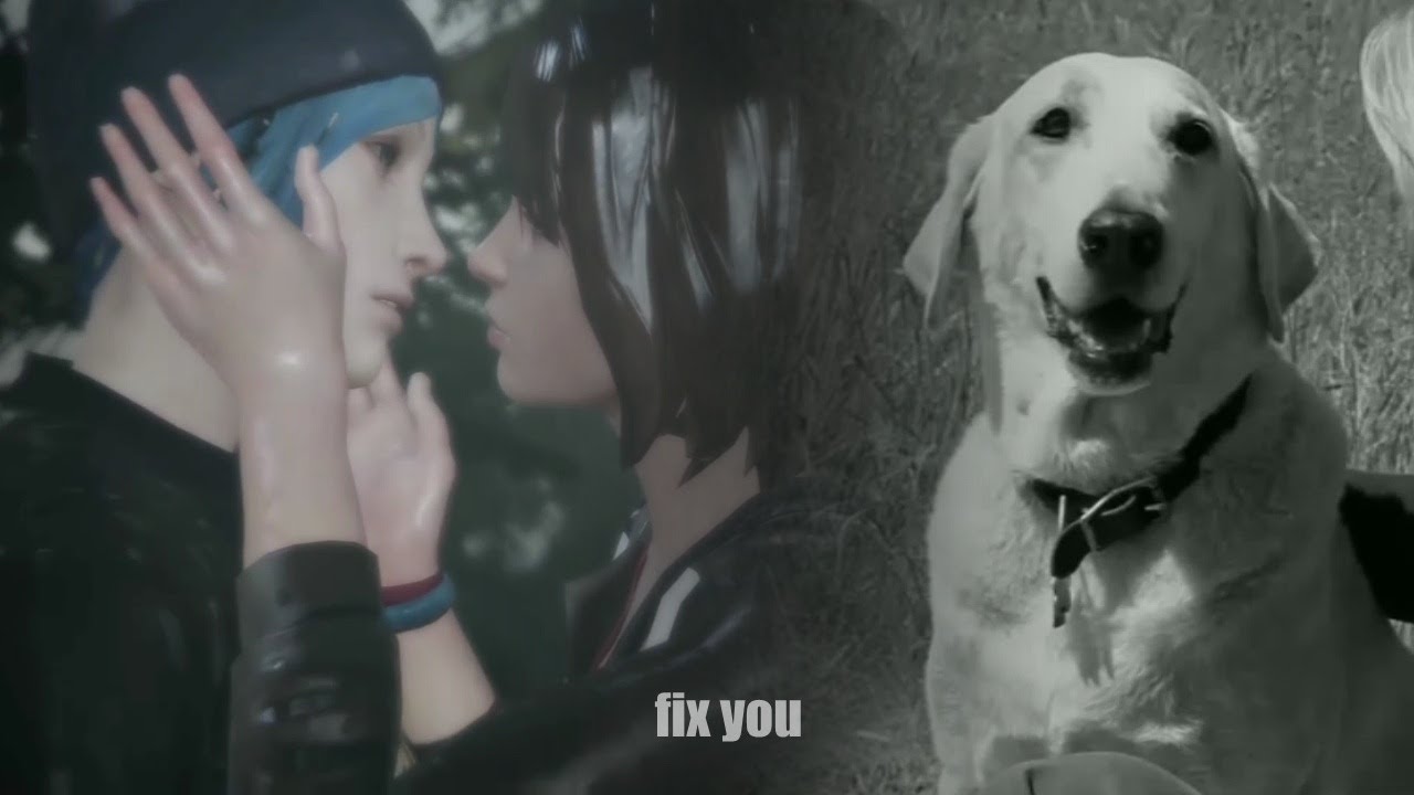 Multifandom || Fix you