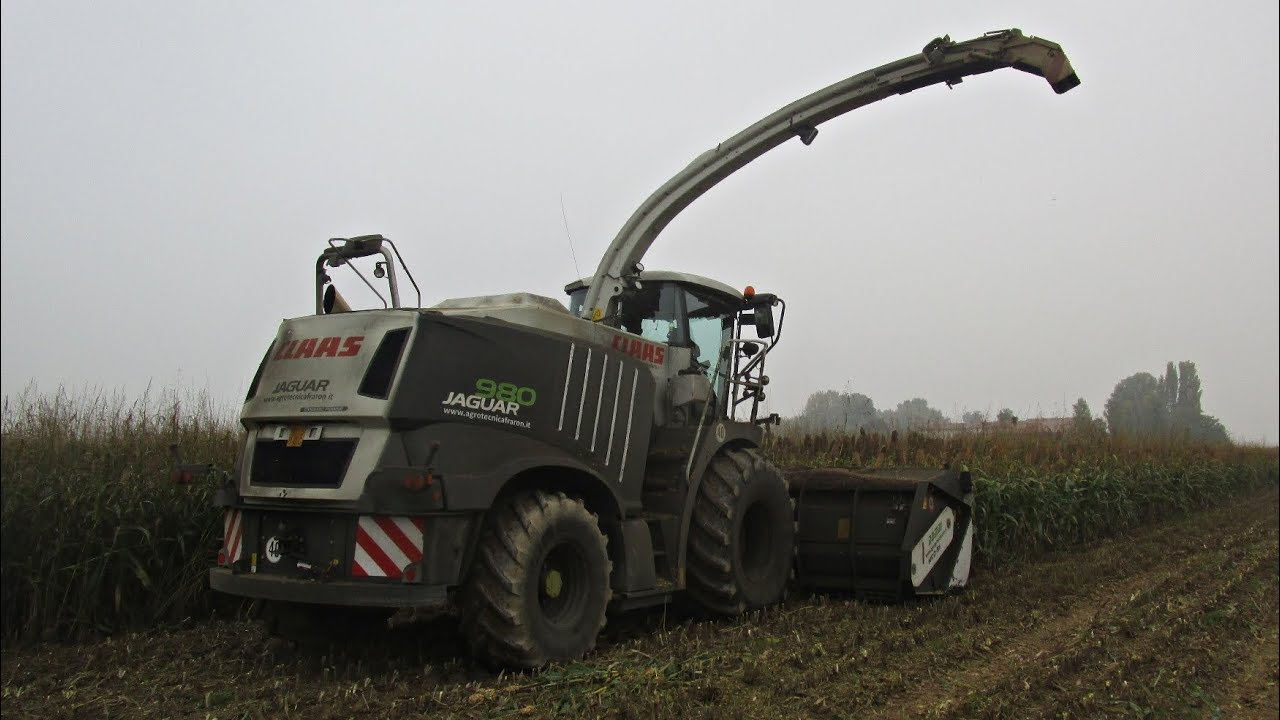 The last Silage for 2017: Claas Jaguar 980 - Agrotecnica Fraron