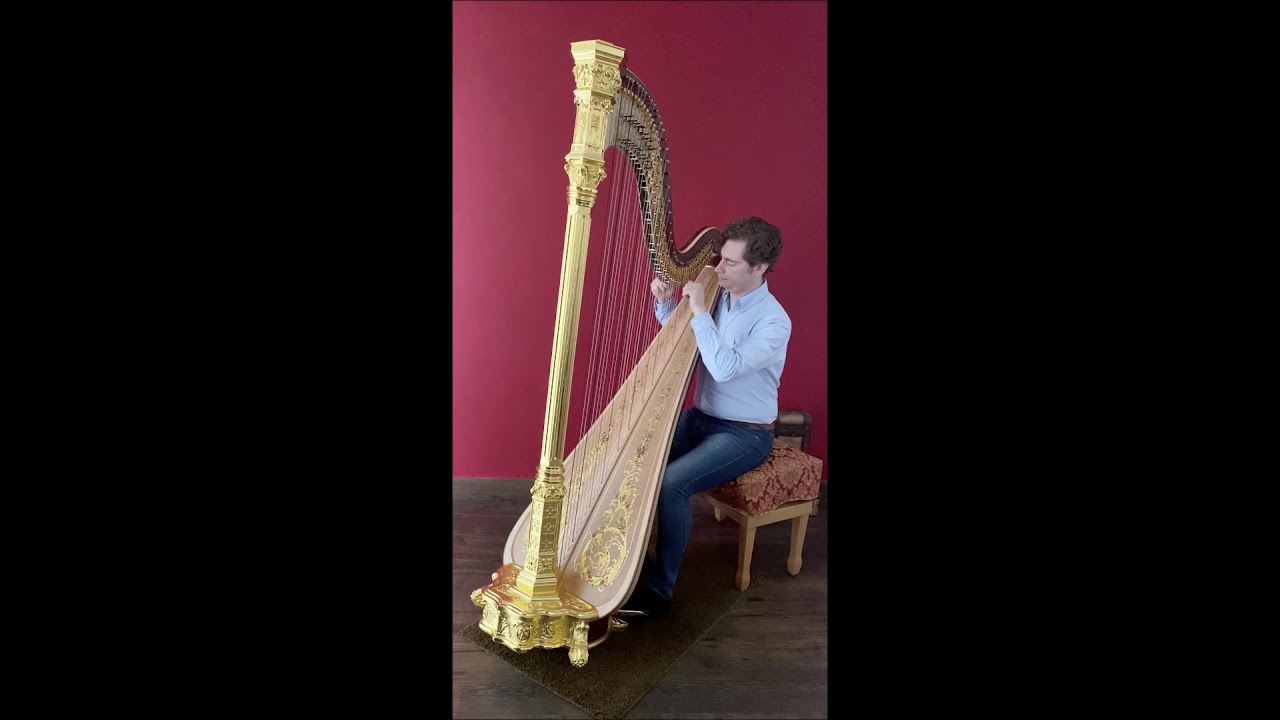 Gabriel's Oboe - Harp Cover (The Mission)