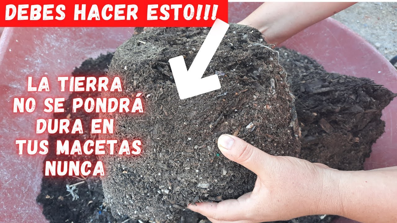 NO mas TIERRA DURA en tus MACETAS, PREPARALA ASI | REVIVE TIERRA ENFERMA  y FERTILIZALA | PLANTAS |