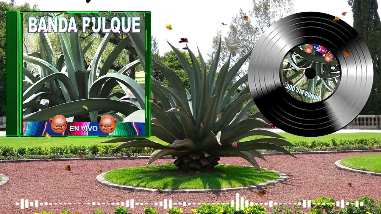 No Te Olvidare - Banda Pulque