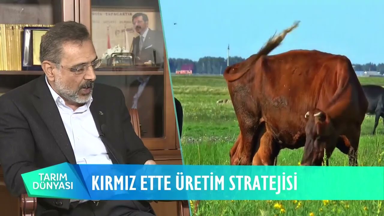 TARIM DÜNYASI | AHMET YÜCESAN