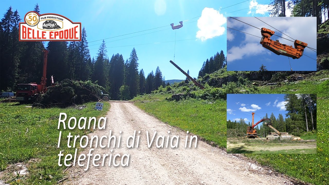 Roana - I tronchi di Vaia in teleferica