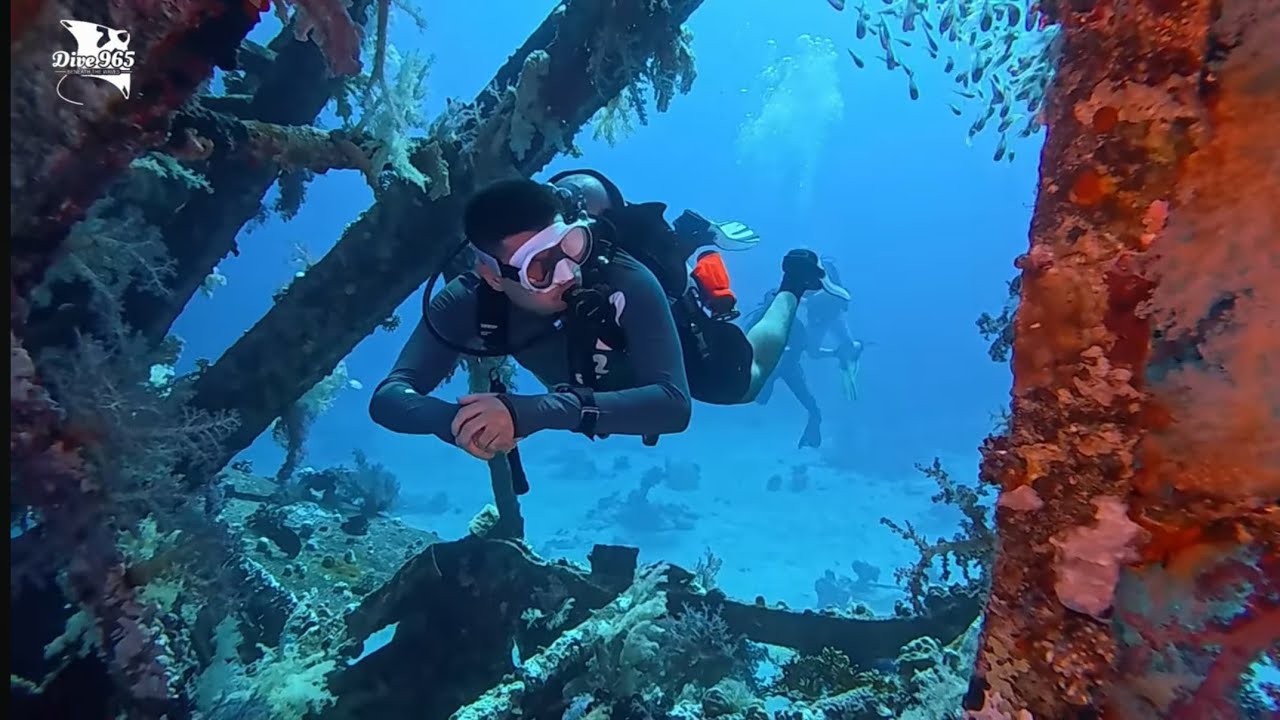 MILLION HOPE - EGYPT - RED SEA