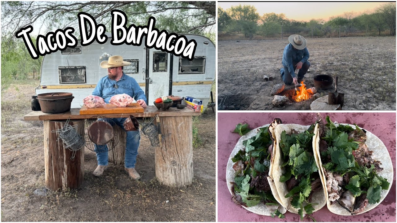Tacos De Barbacoa De Borrego