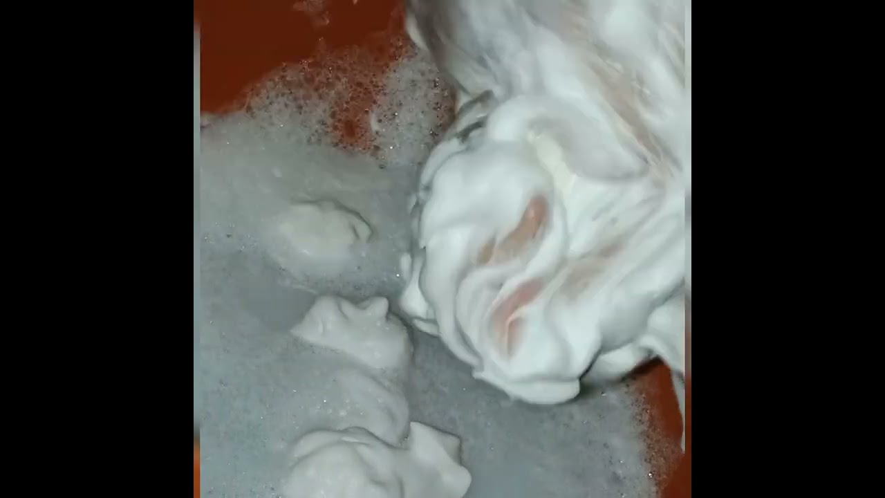 ٥ فبراير ٢٠٢٦