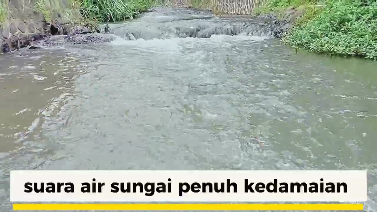 Gemericik Sungai Kecil di Bawah Jembatan Desa yang Asri 🌿💧