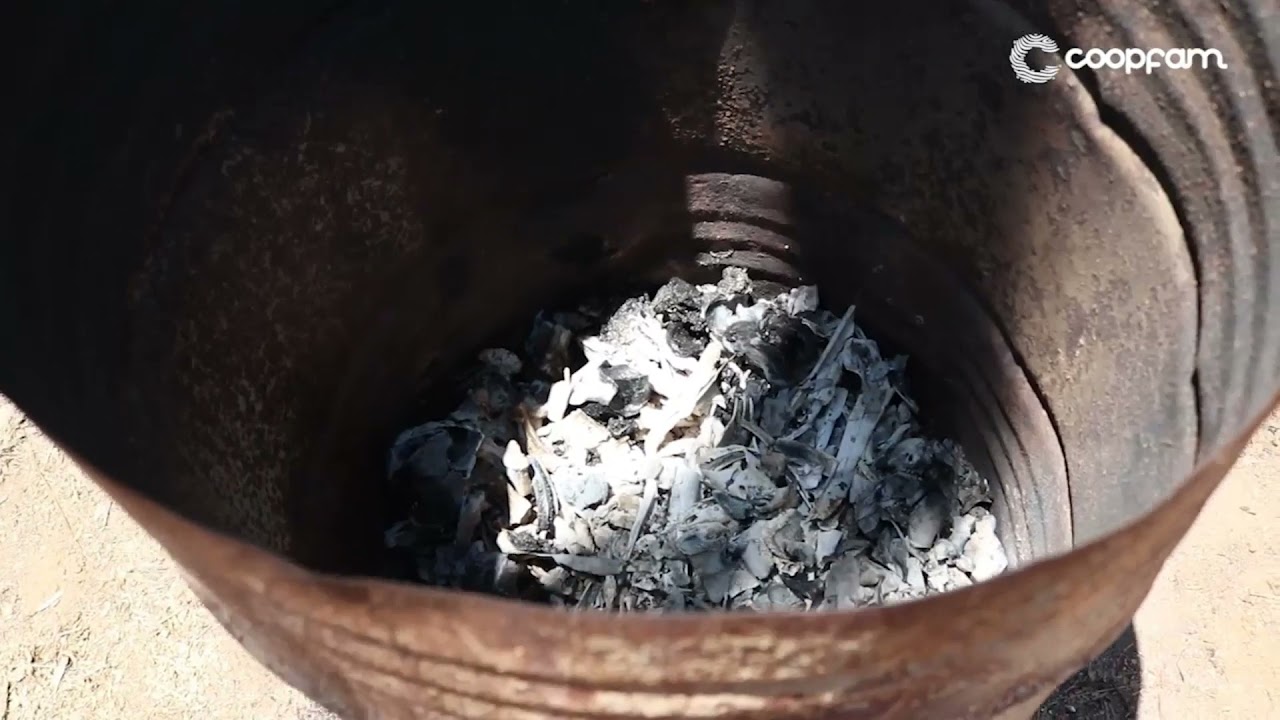 Farinha de Osso