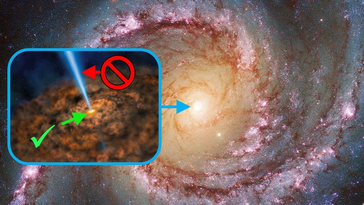 Seyfert Galaxies: Structure, Classification, and Astrophysical Significance
