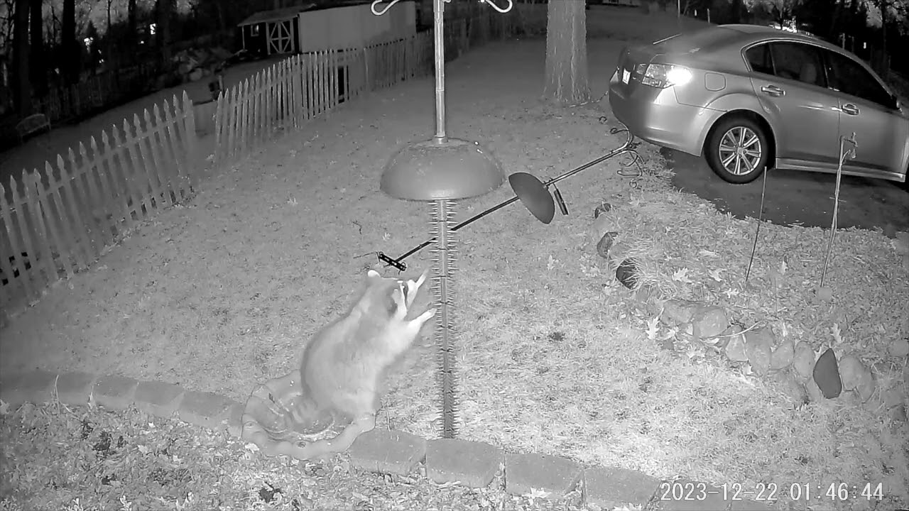 Spikes Stop Raccoons from Climbing Bird Feeder - Video Evidence!
