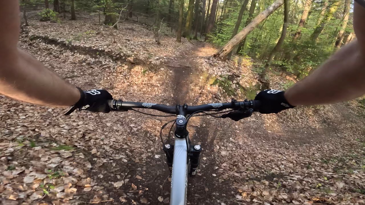 MTB Tour Jena - Ammerbach und Orchideentrail 05/2023