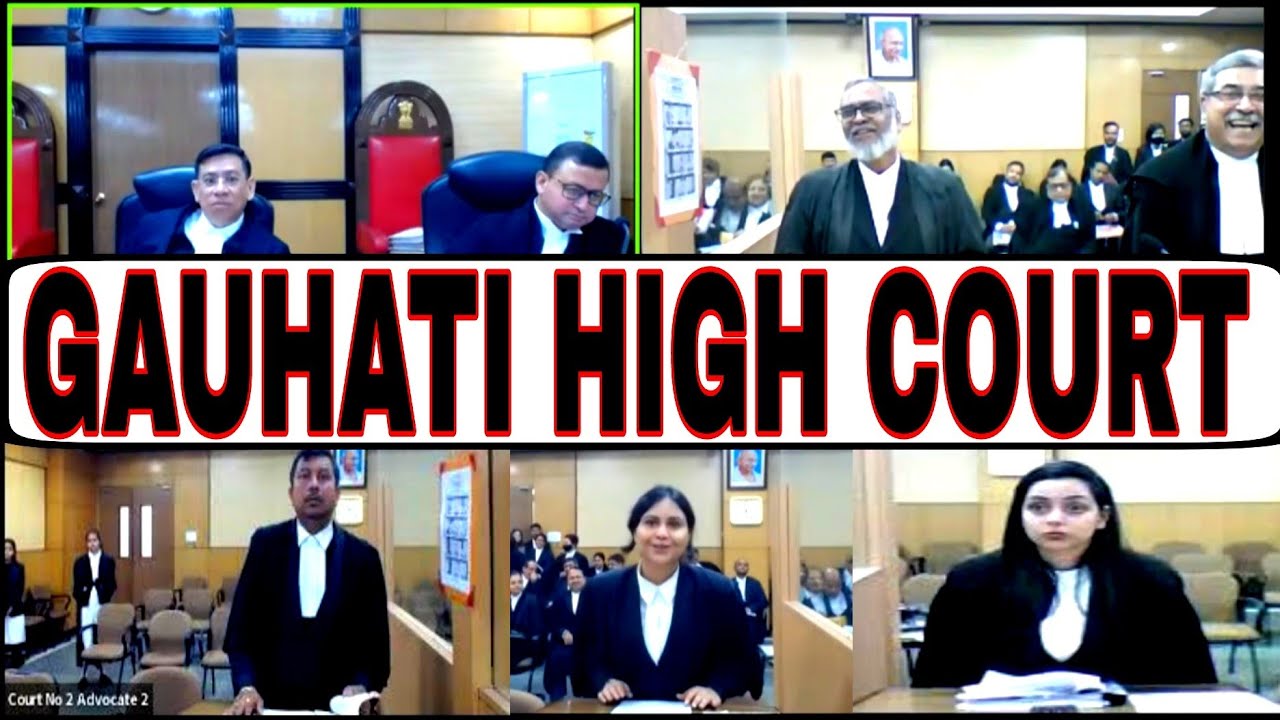 Awesome Argue by young lady LAWYER, |Heated Argument in Court| #gauhatihighcourt #supremecourt