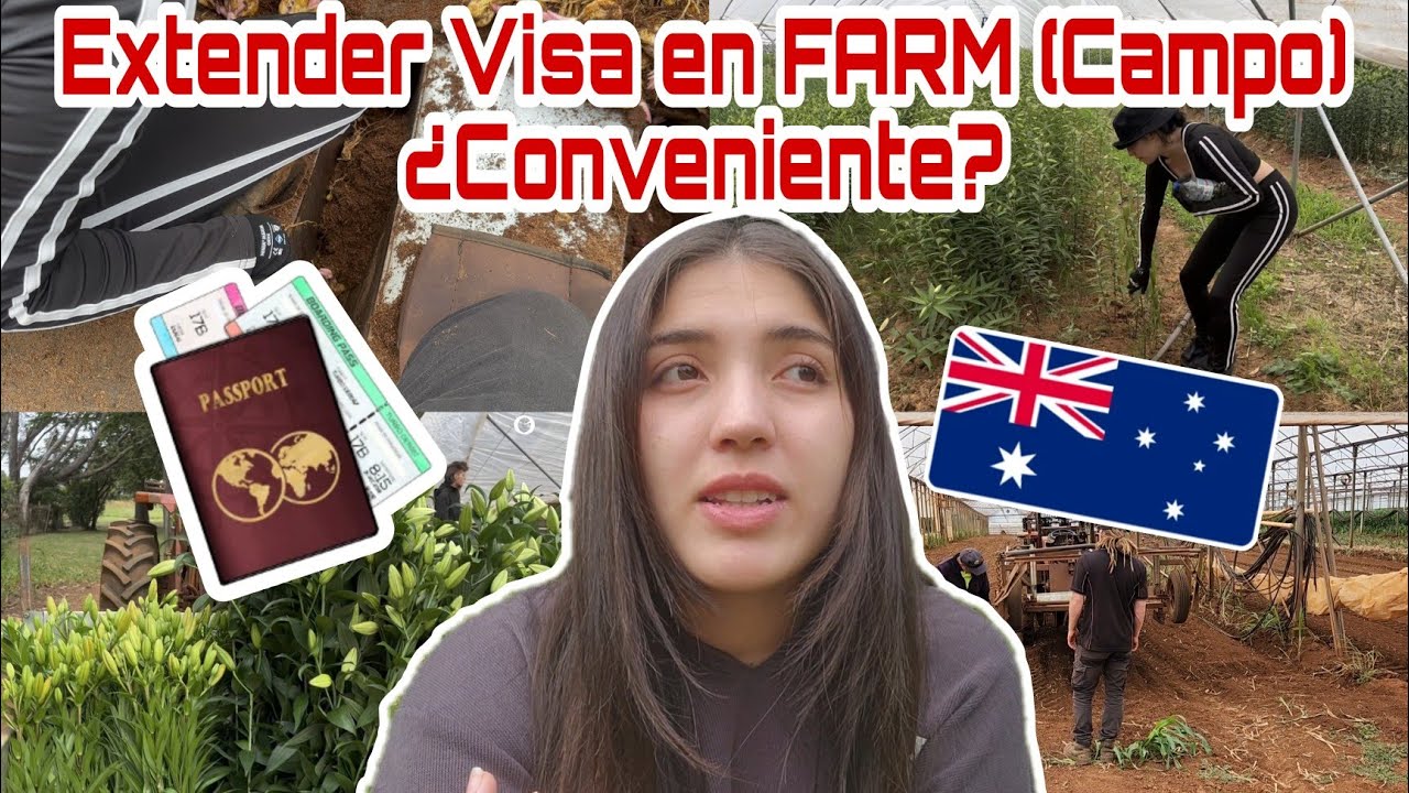 Extender la Working Holiday Visa con trabajo de campo [MI EXPERIENCIA] | Nicolisa