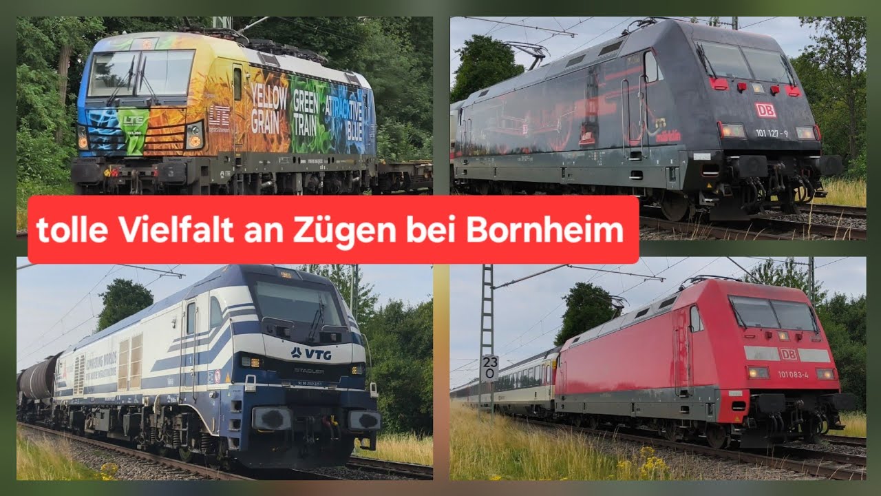 Züge bei Bornheim, viele Güterzüge, IC2013 mit 101127, ICE's , IC2 am 14.+18.7.25