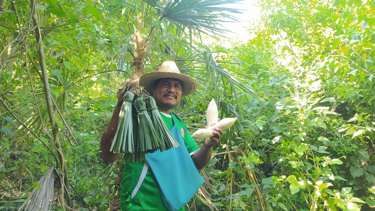 🤠así se hace escobeta y mecates de zollamiches, beneficios de esta palma