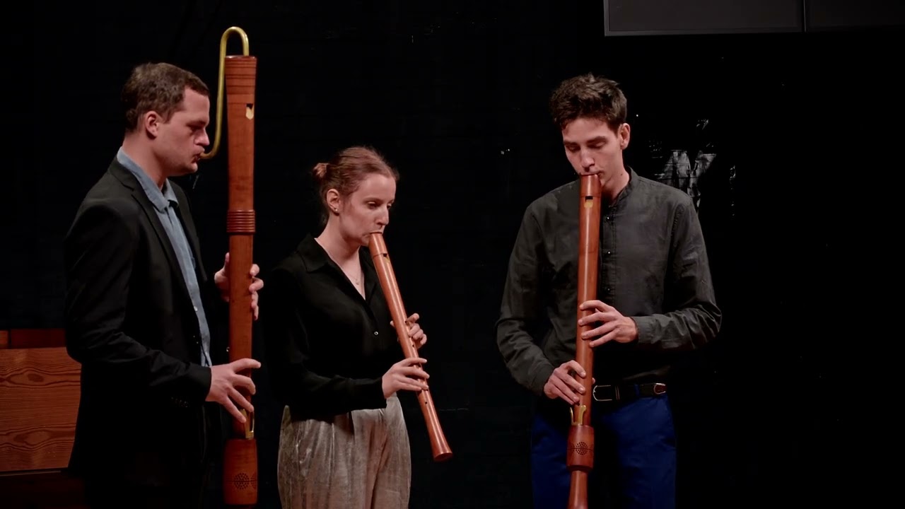 Giovanni Bassano - Fantasia No.1 | ensemble feuervogel