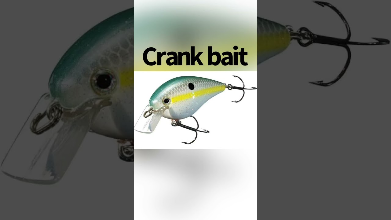 3D printed Crank bait