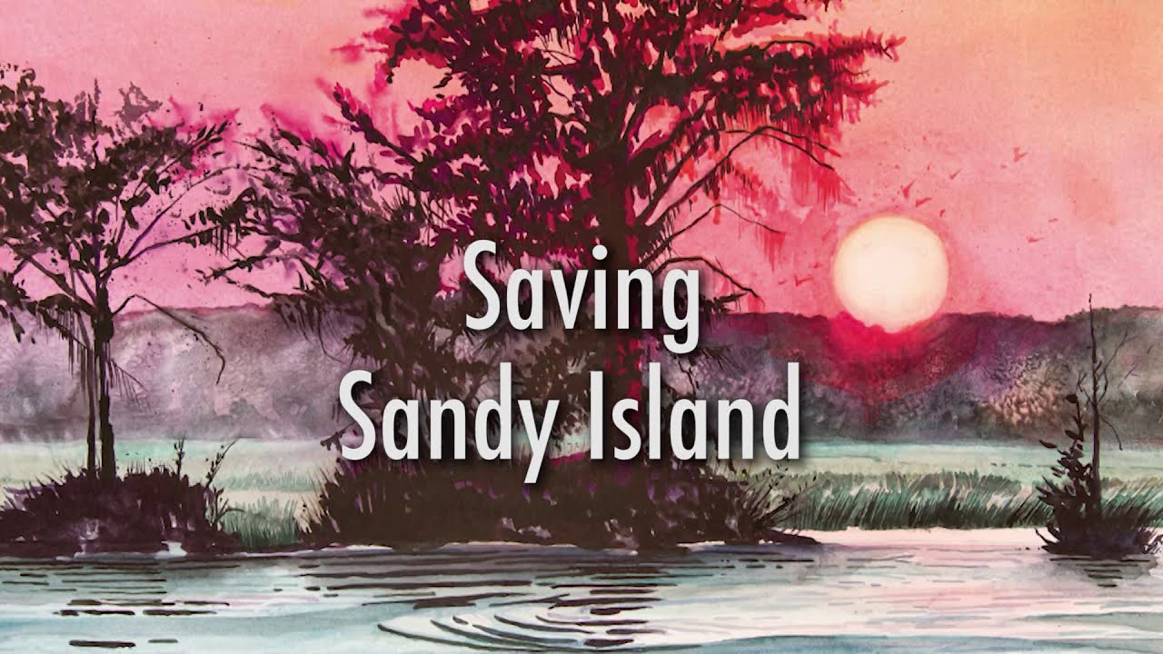 Saving Sandy Island