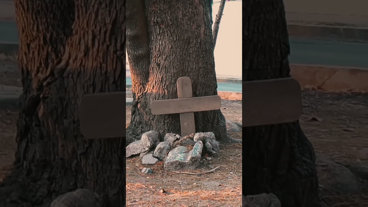 Una tarde en el parque….