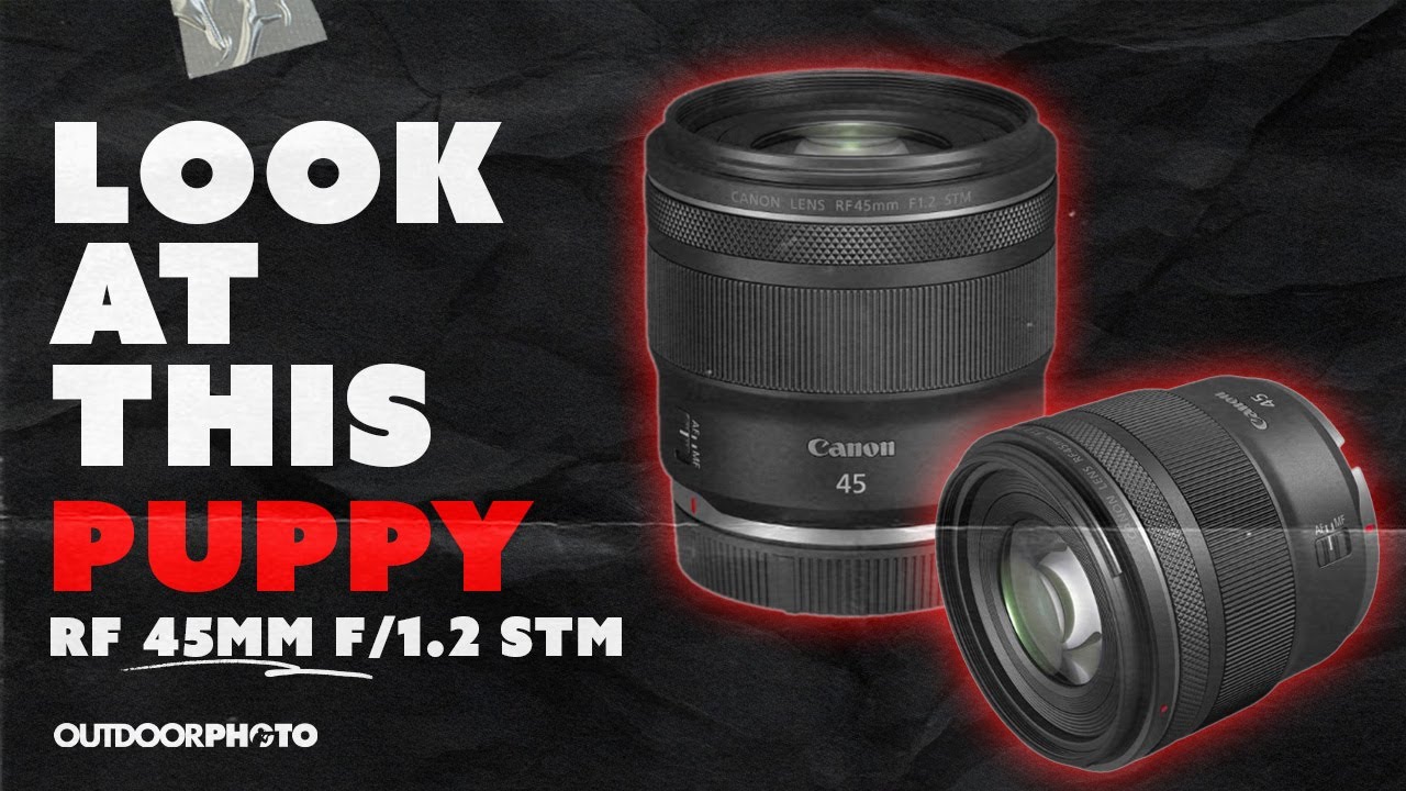 Объектив Canon RF 45mm STM — (с участием щенка)