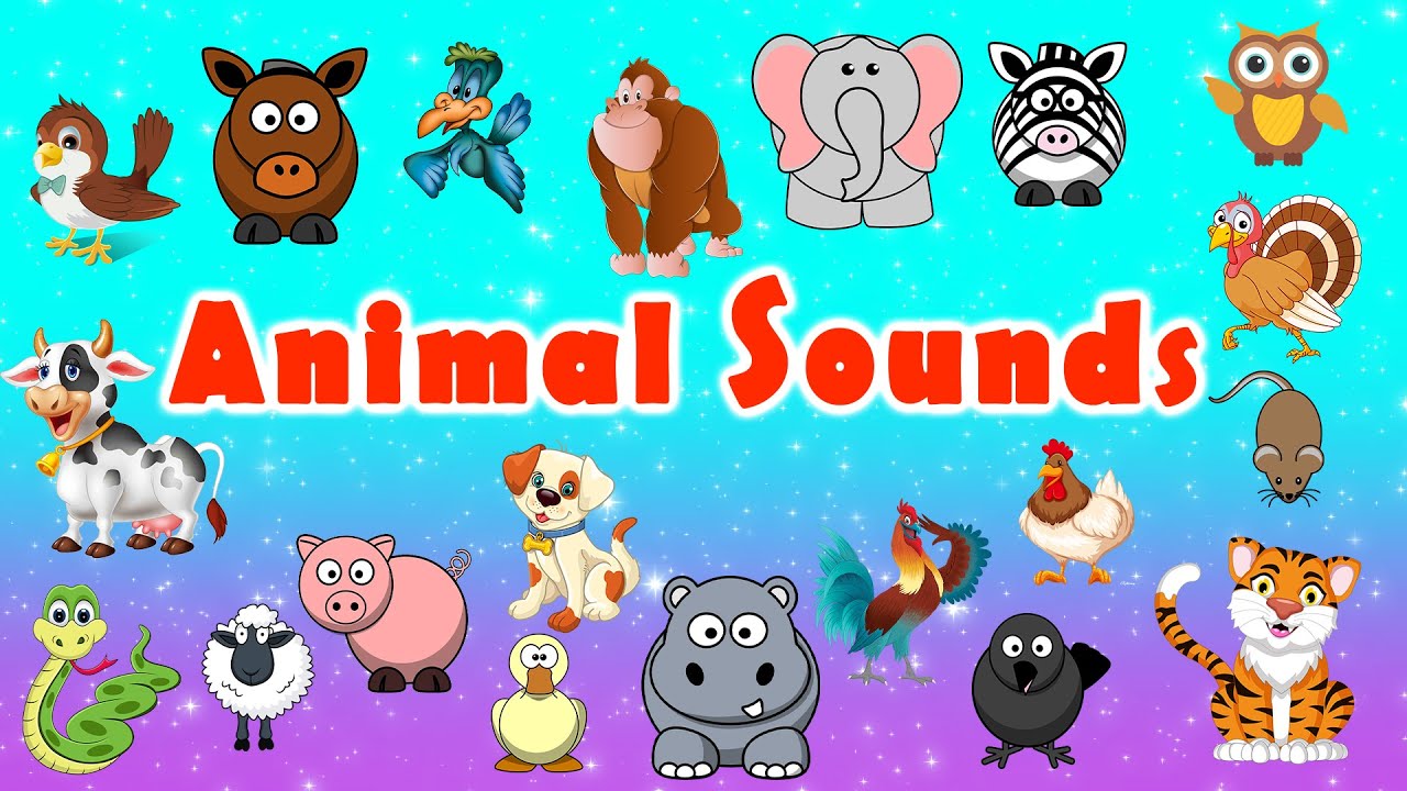 Guess the Animal Sounds | Animal Sounds Song | LittleKidsTV