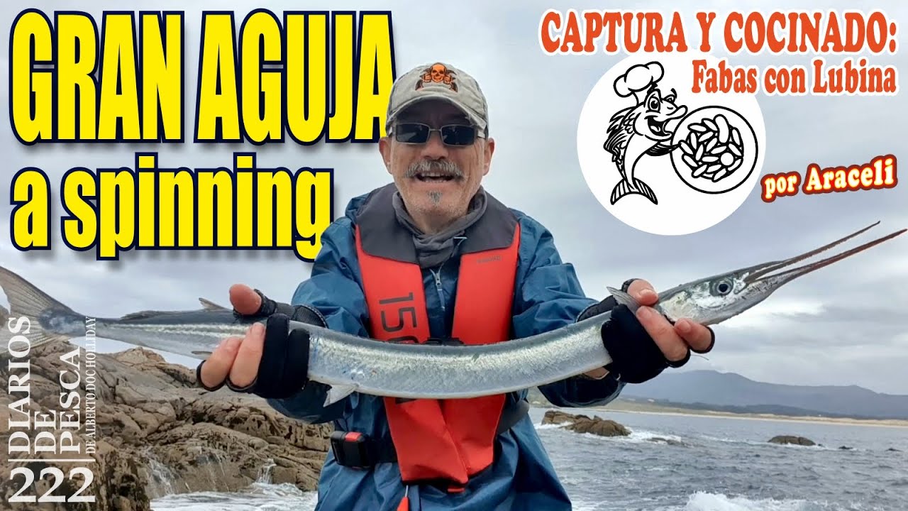 PESCA DE GRAN AGUJA A SPINNING. CAPTURA Y COCINADO: Fabas con Lubina (por Araceli). Pesca en Galicia