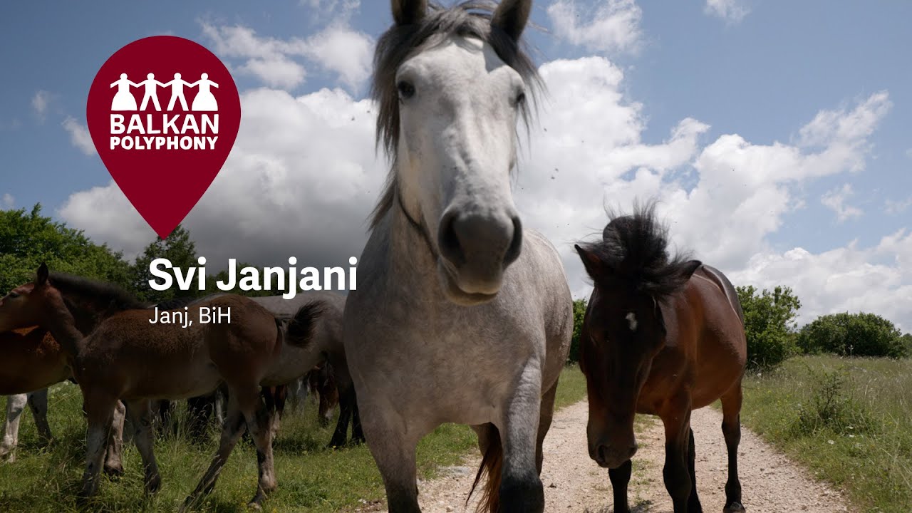 Svi Janjani – Janj, BiH