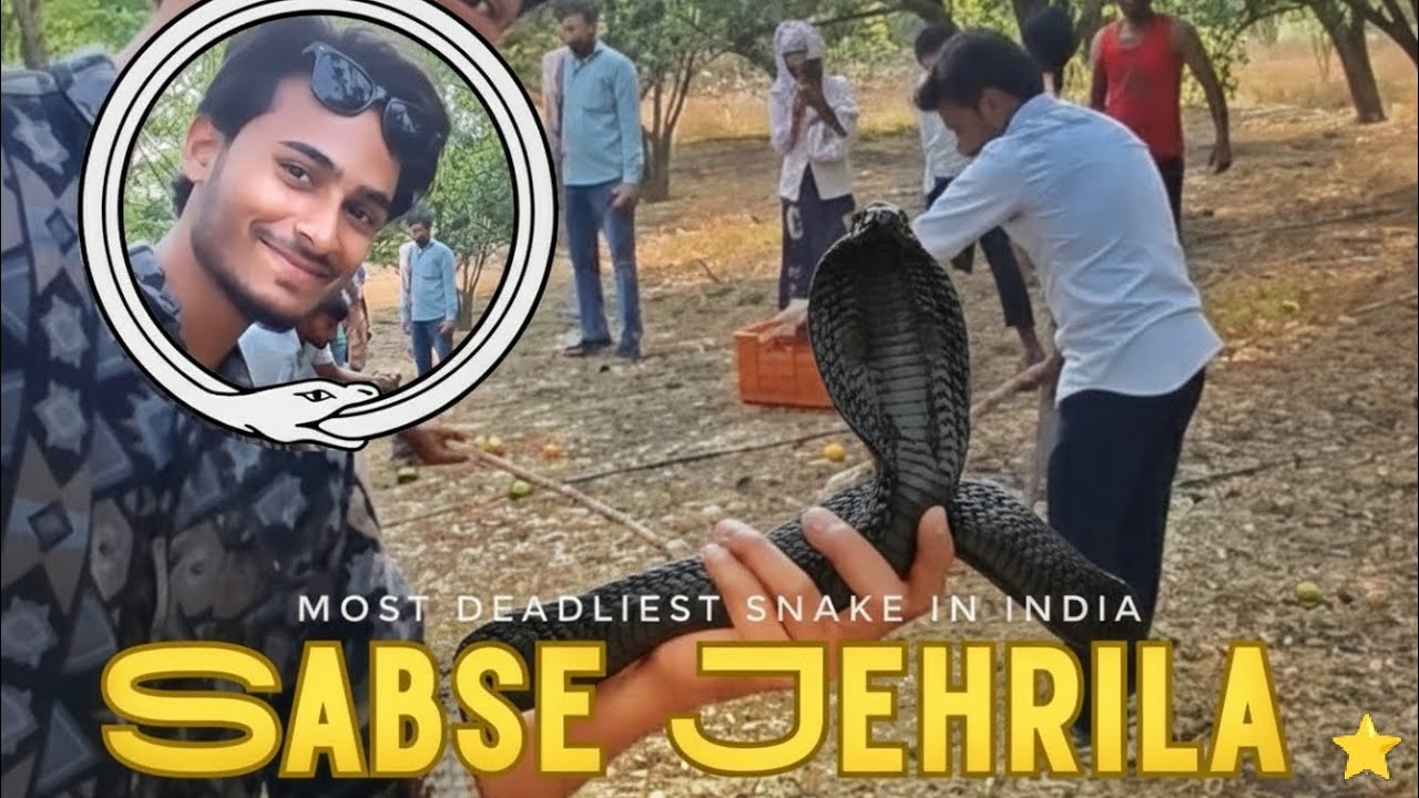 Snake Rescue 🐍 & Night Out Vlog