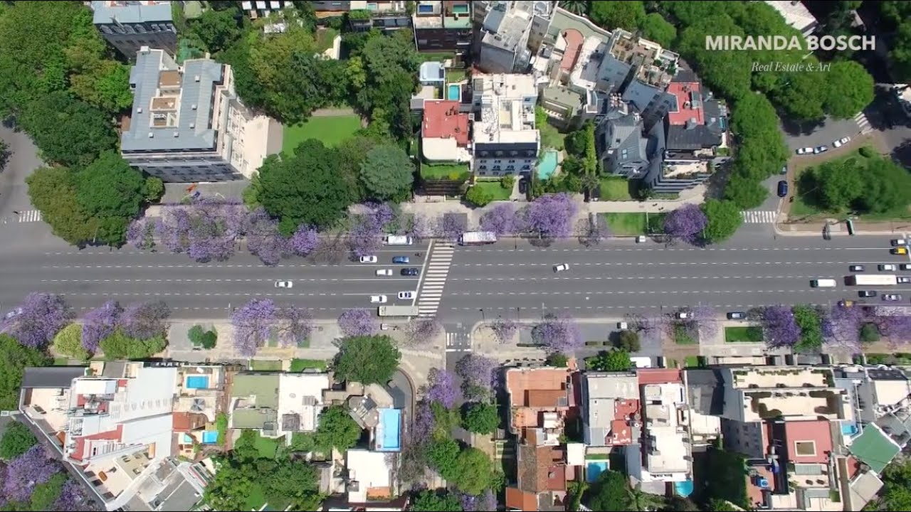 Buenos Aires by Miranda Bosch