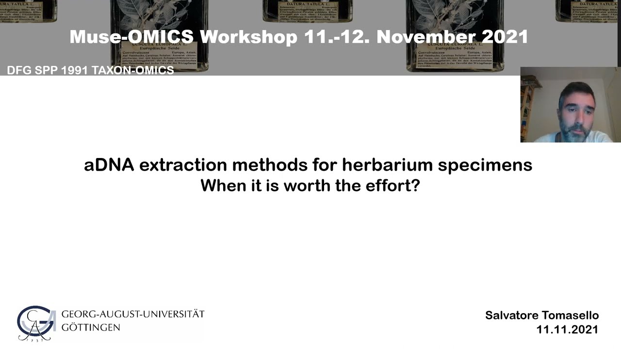 Museomics: aDNA extraction methods for herbarium specimens - When it is worth the effort?