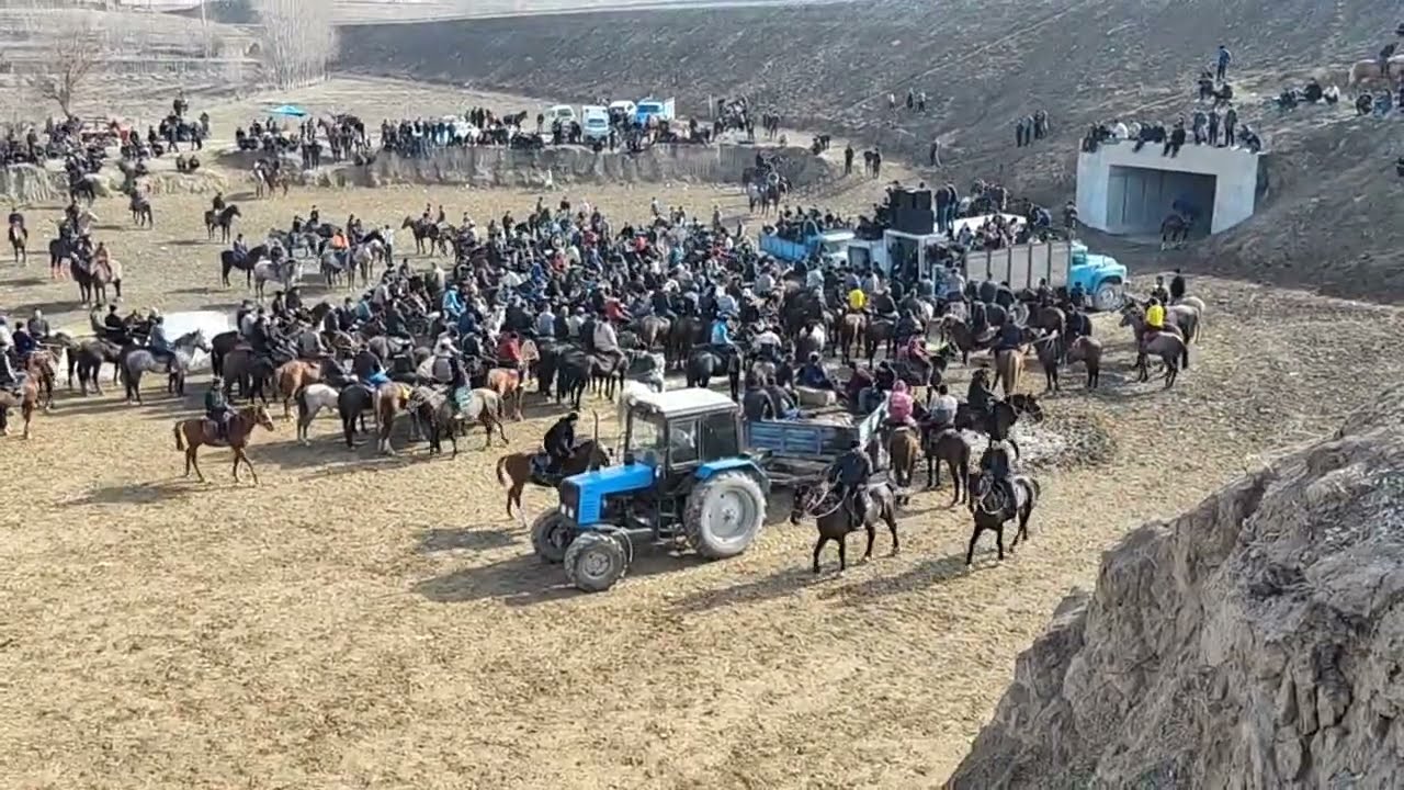 Urgut tumani Beshkapa uloq koʻpkari 07.02.2026