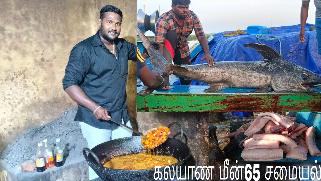 நீங்கள் கேட்ட கல்யாண பிரமாண்ட மீன்65 சமையல்/65 recipes for the great fish of the wedding you asked