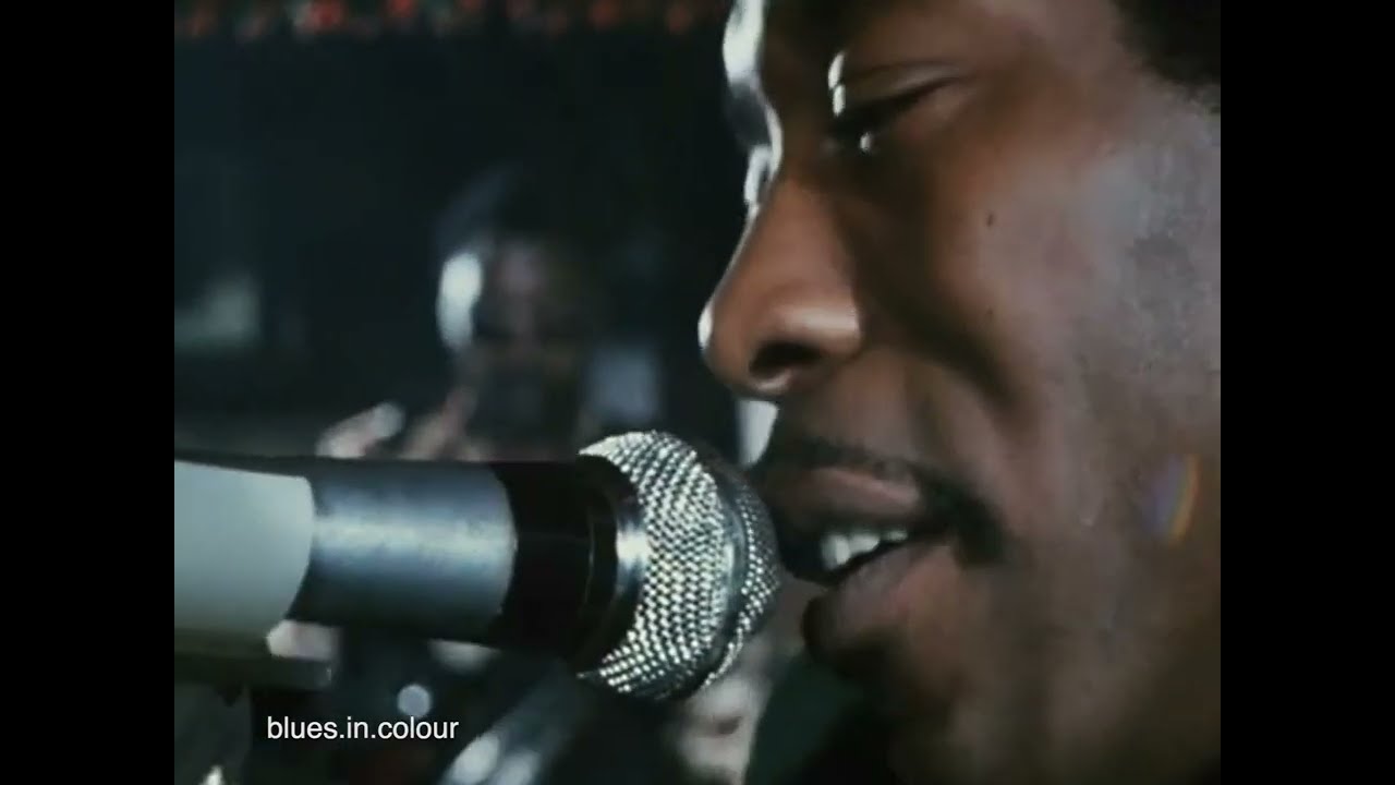 Junior Wells & Buddy Guy - Live at Theresa's Lounge (Longer Cut) 1972