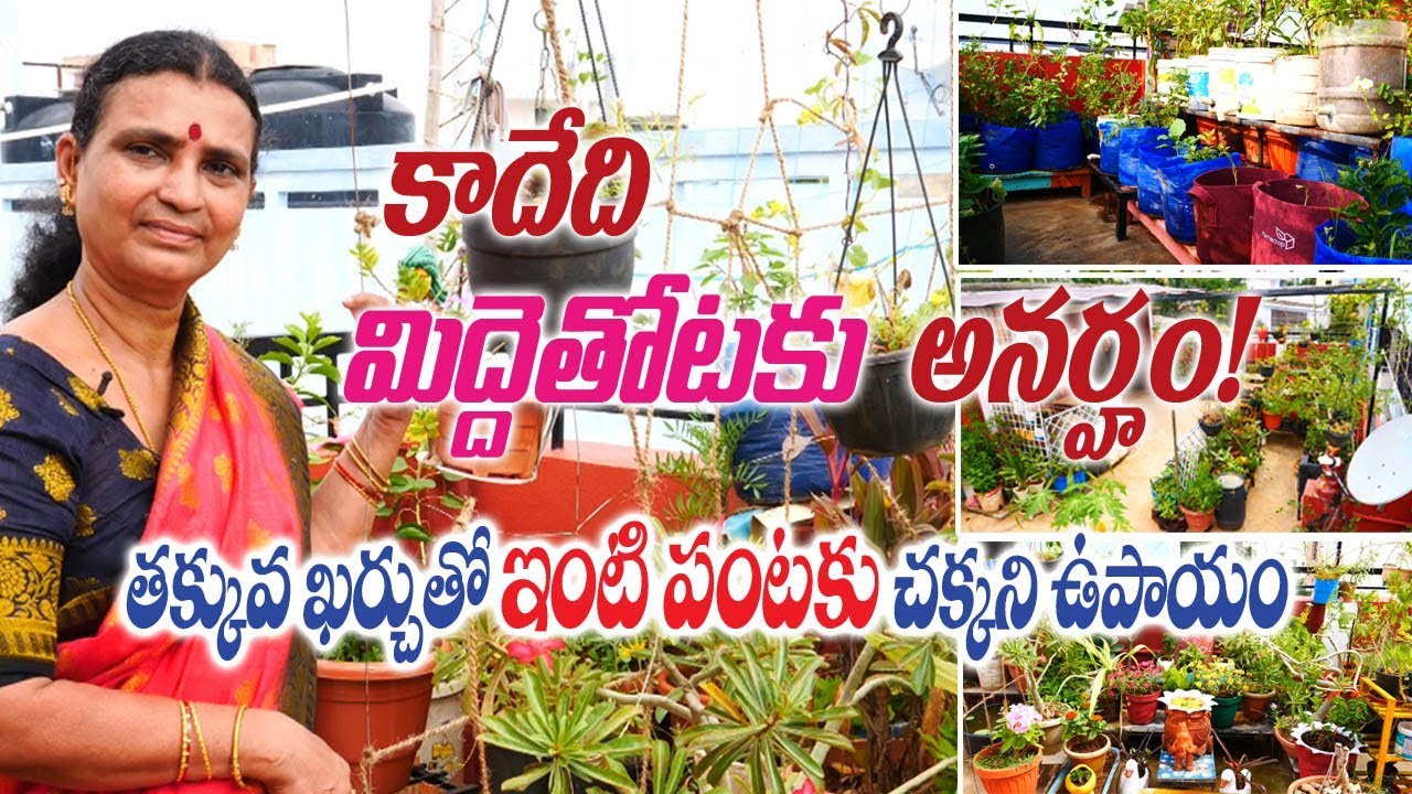 Beautiful Terrace Garden with available material || Sunitha Reddy || Hyderabad || Rytunestham