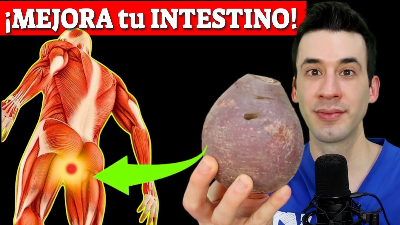 ¡MILLONES de MUERTES se EVITARÍAN si SUPIERAN ESTO!| Probióticos y Prebióticos