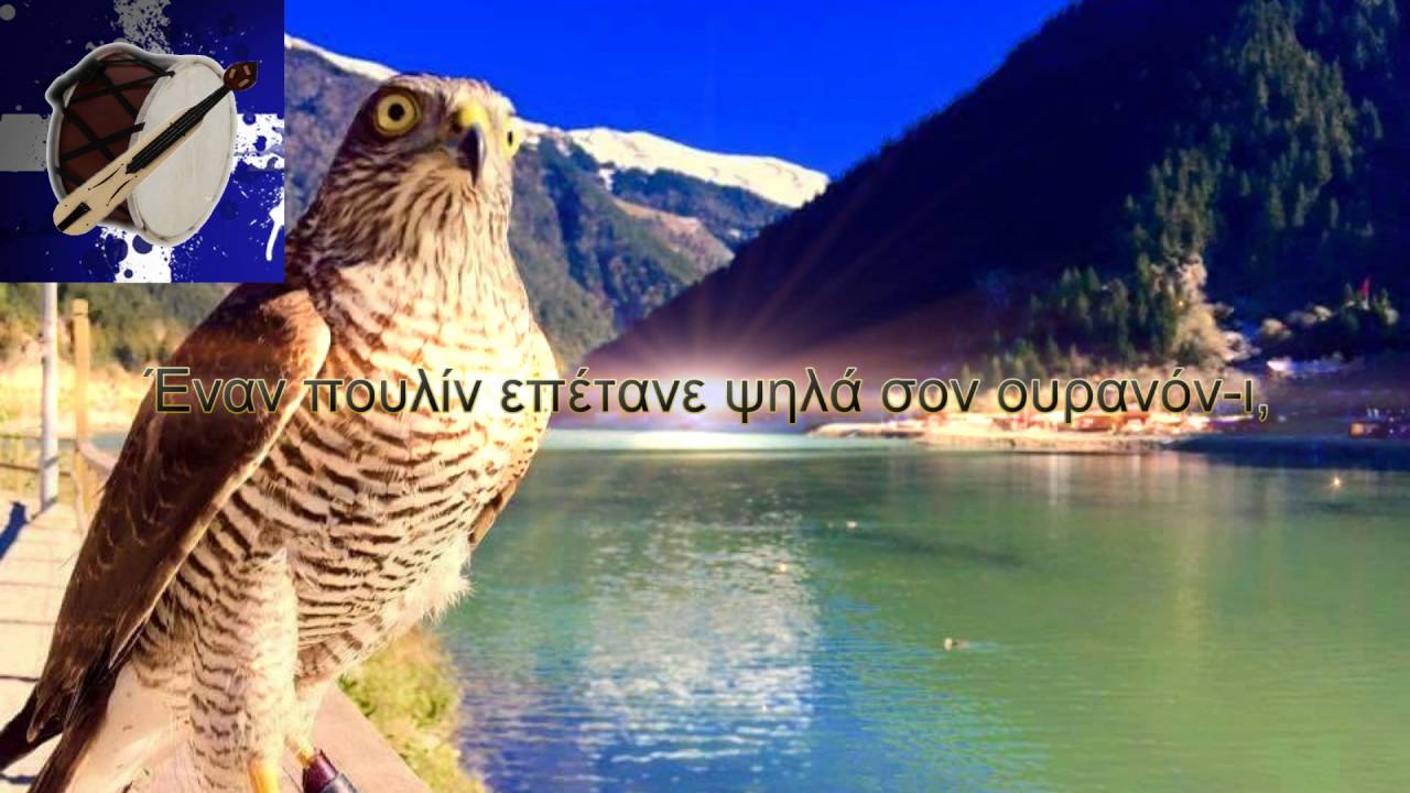Έναν πουλίν επέτανε (στίχοι)