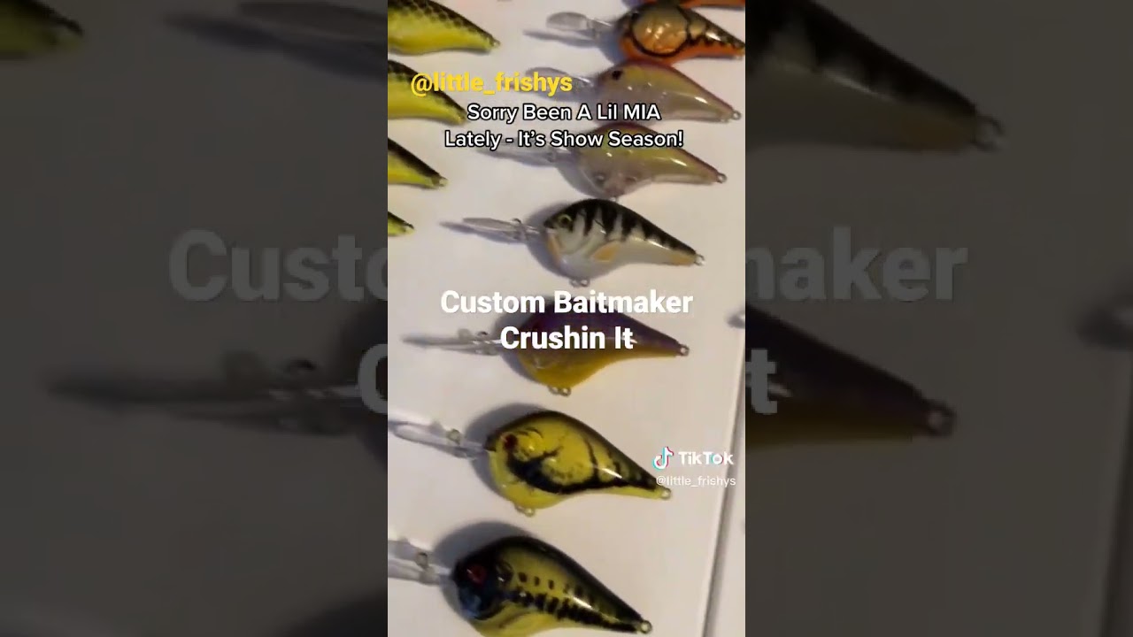 Custom Crankbaits Bass Fishing #crankbait #fishing #bassfishing #riverfishing #airbrush #createx