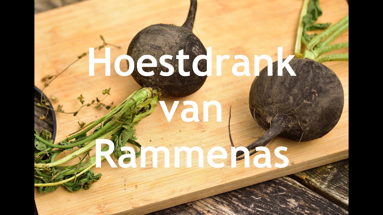 RAMMENAS - HOESTDRANK