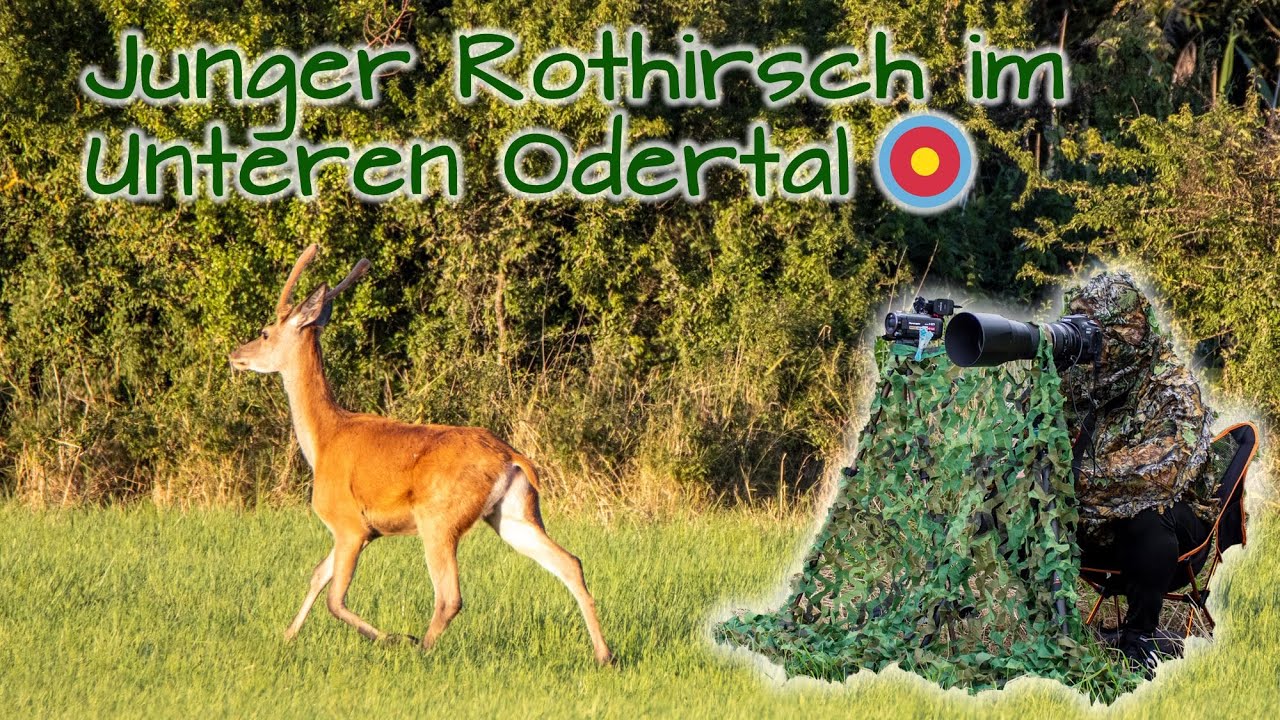 Mal wieder ein Naturfilm von mir - 5. August 2024